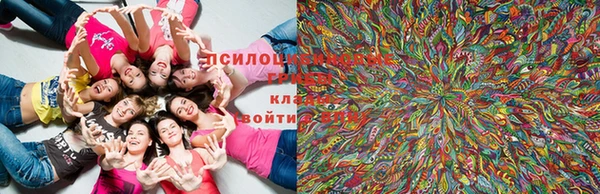 марки lsd Беломорск