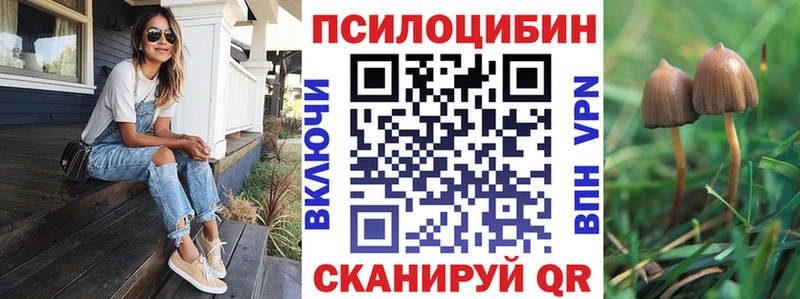 Галлюциногенные грибы Psilocybine cubensis  Губаха 