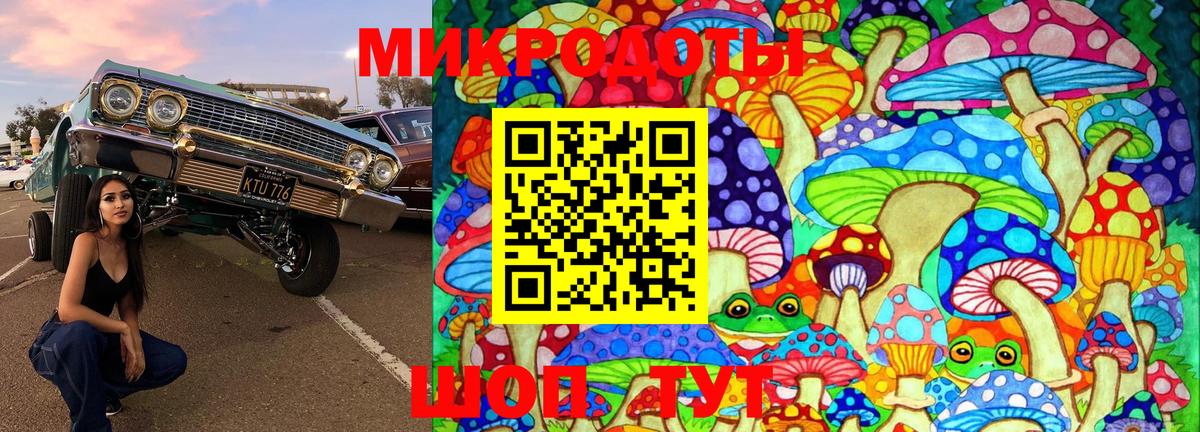 Губаха  Псилоцибиновые грибы MAGIC MUSHROOMS  Вход с VPN  Галлюциногенные грибы MAGIC MUSHROOMS 