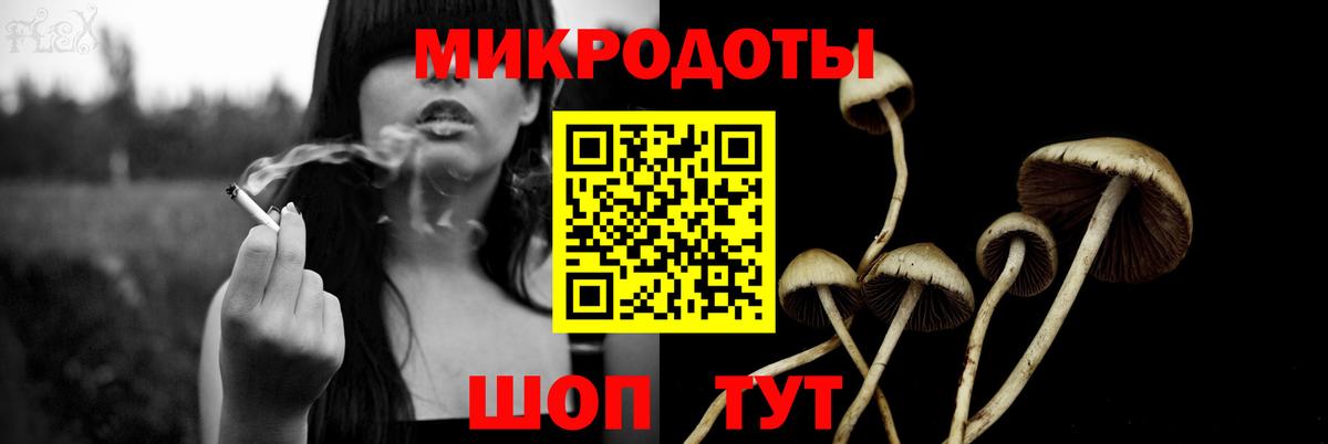 Псилоцибиновые грибы Psilocybe Губаха